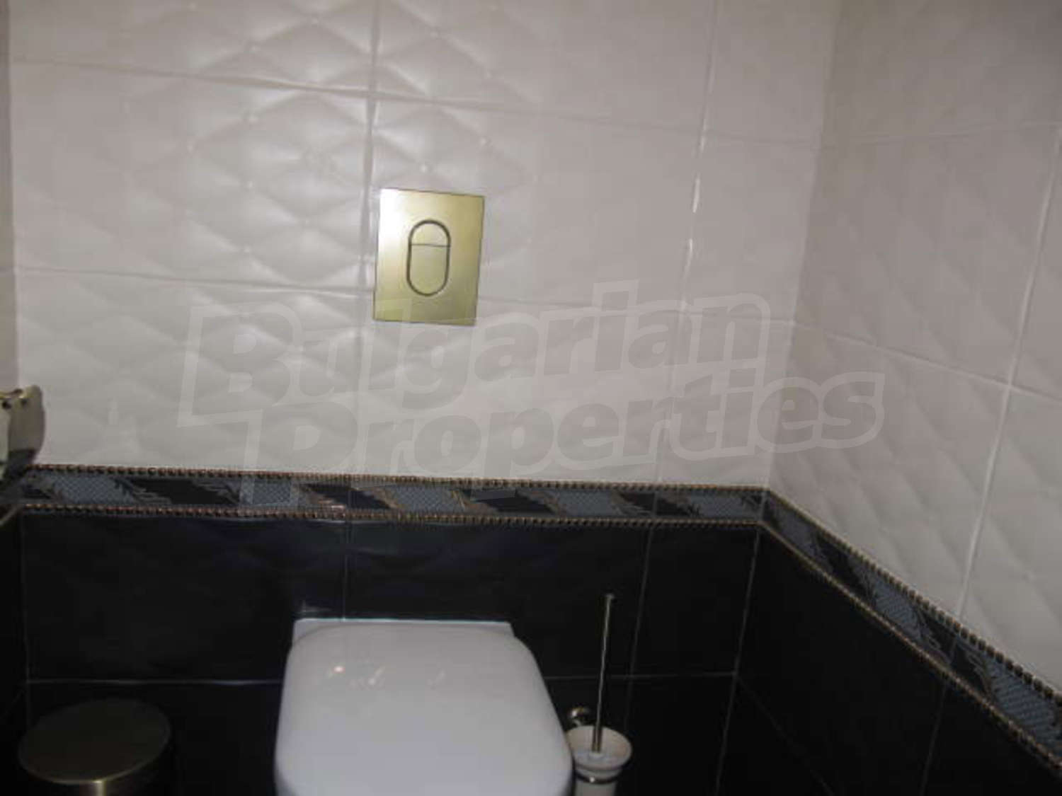 Gallery Picture 18