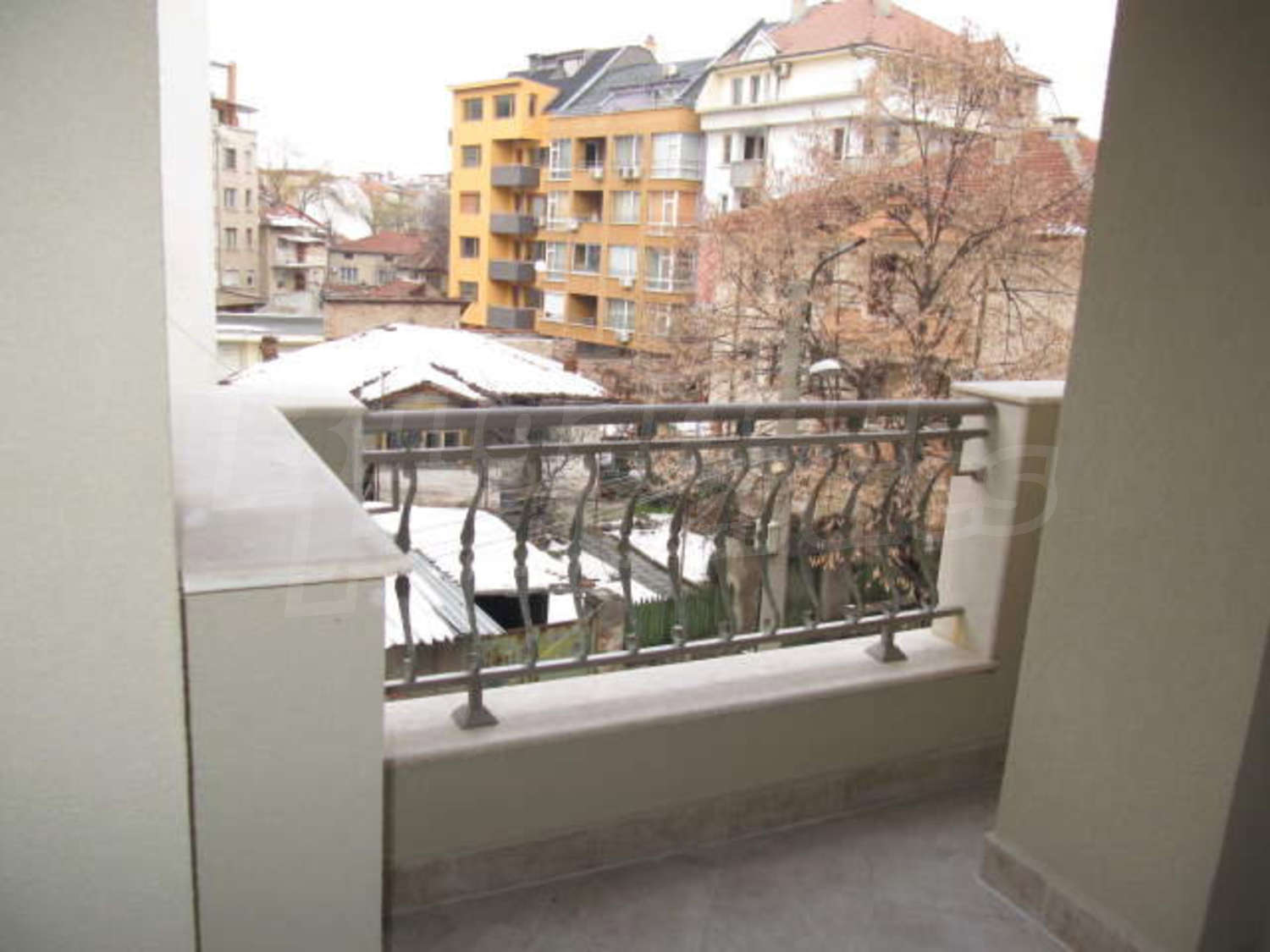 Gallery Picture 26