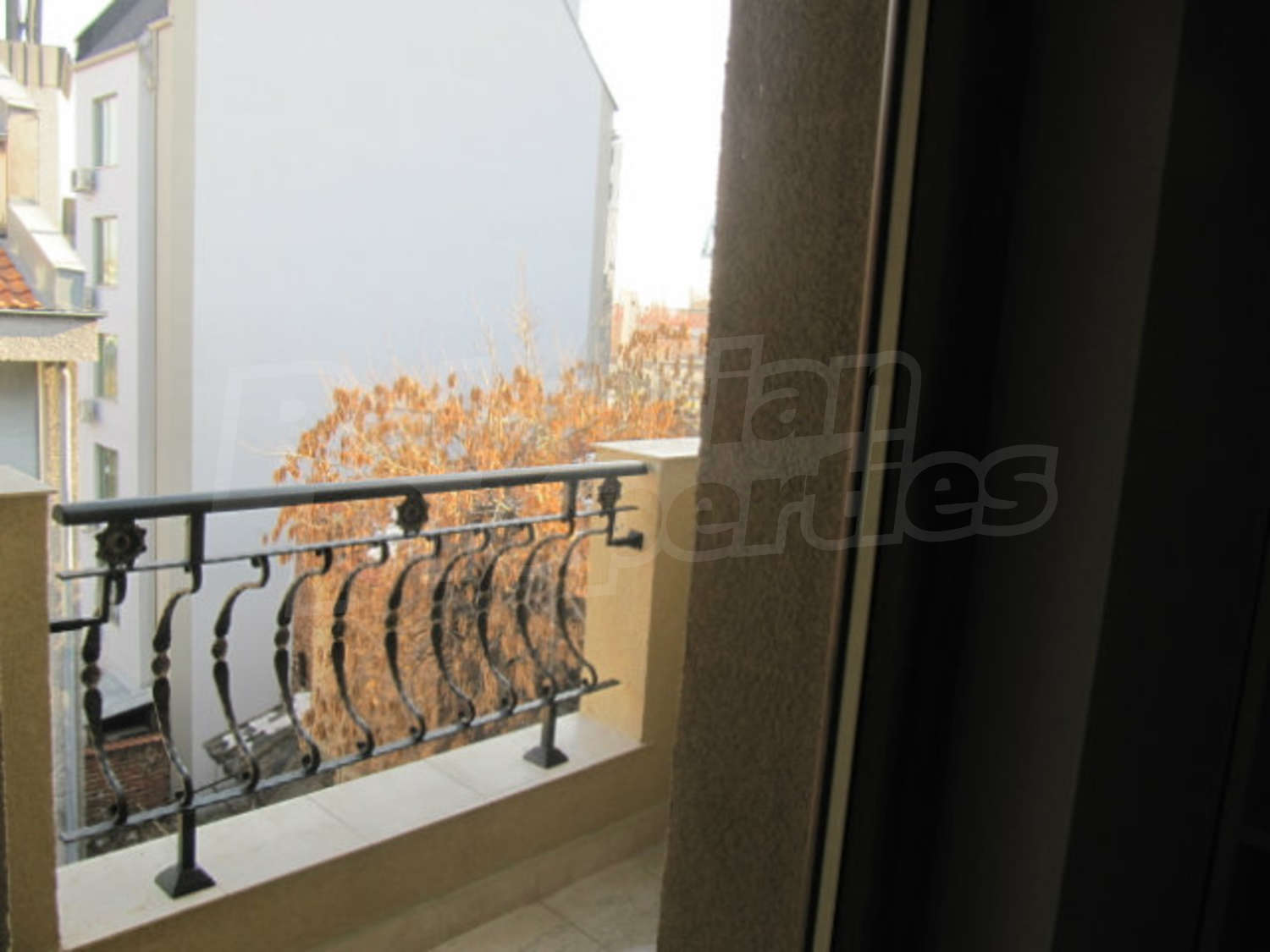 Gallery Picture 23