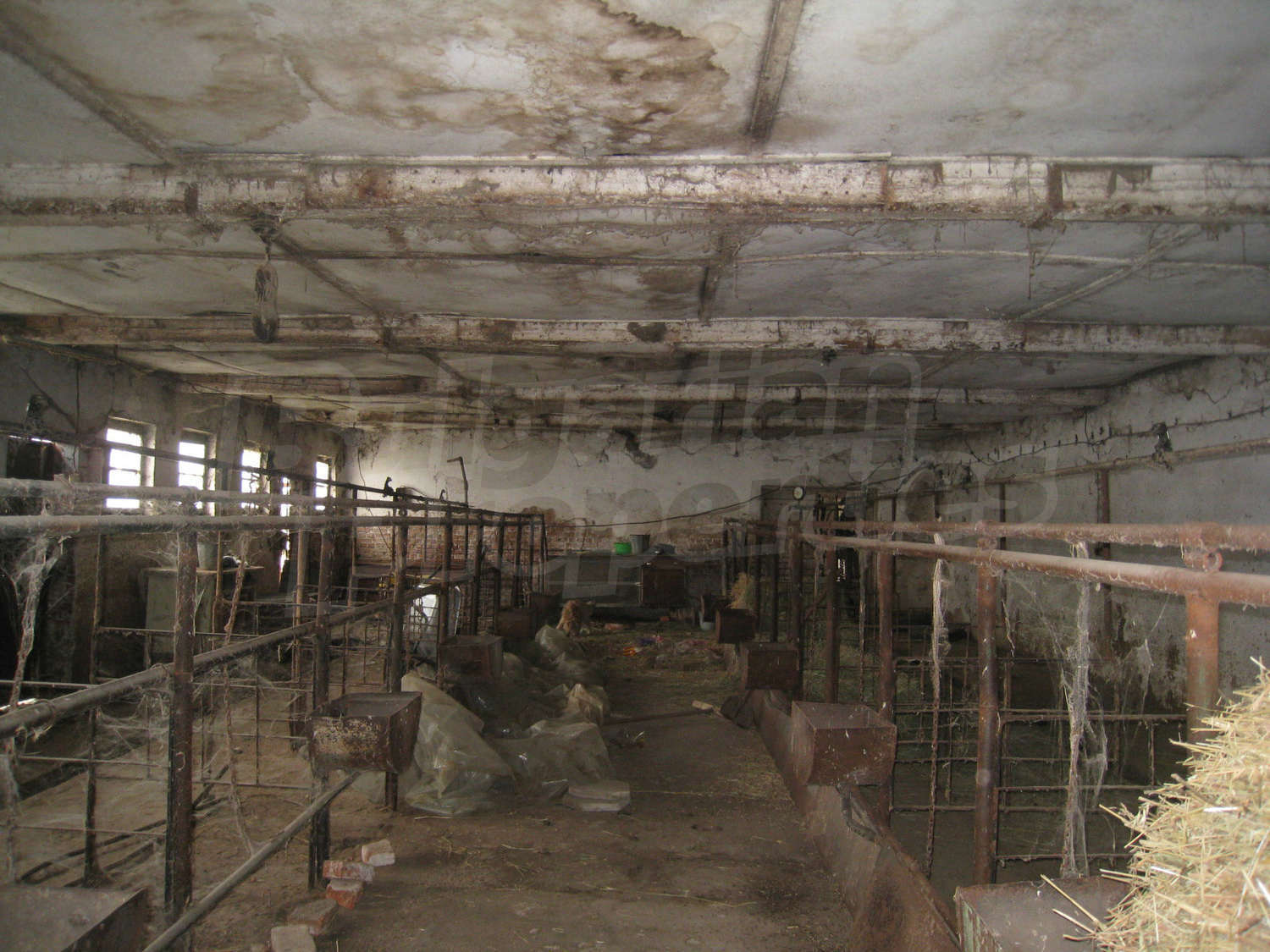 Gallery Picture 10