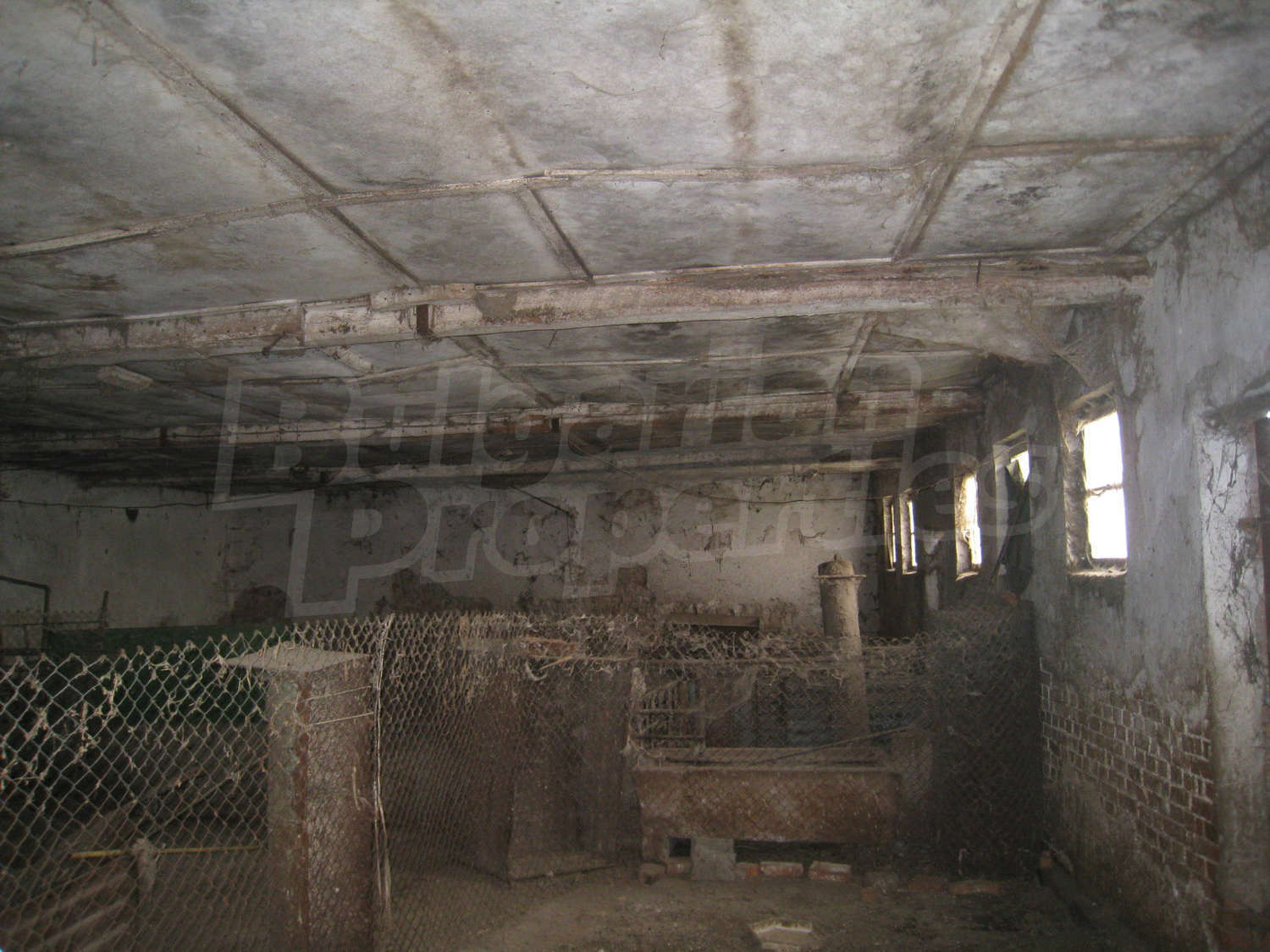 Gallery Picture 11