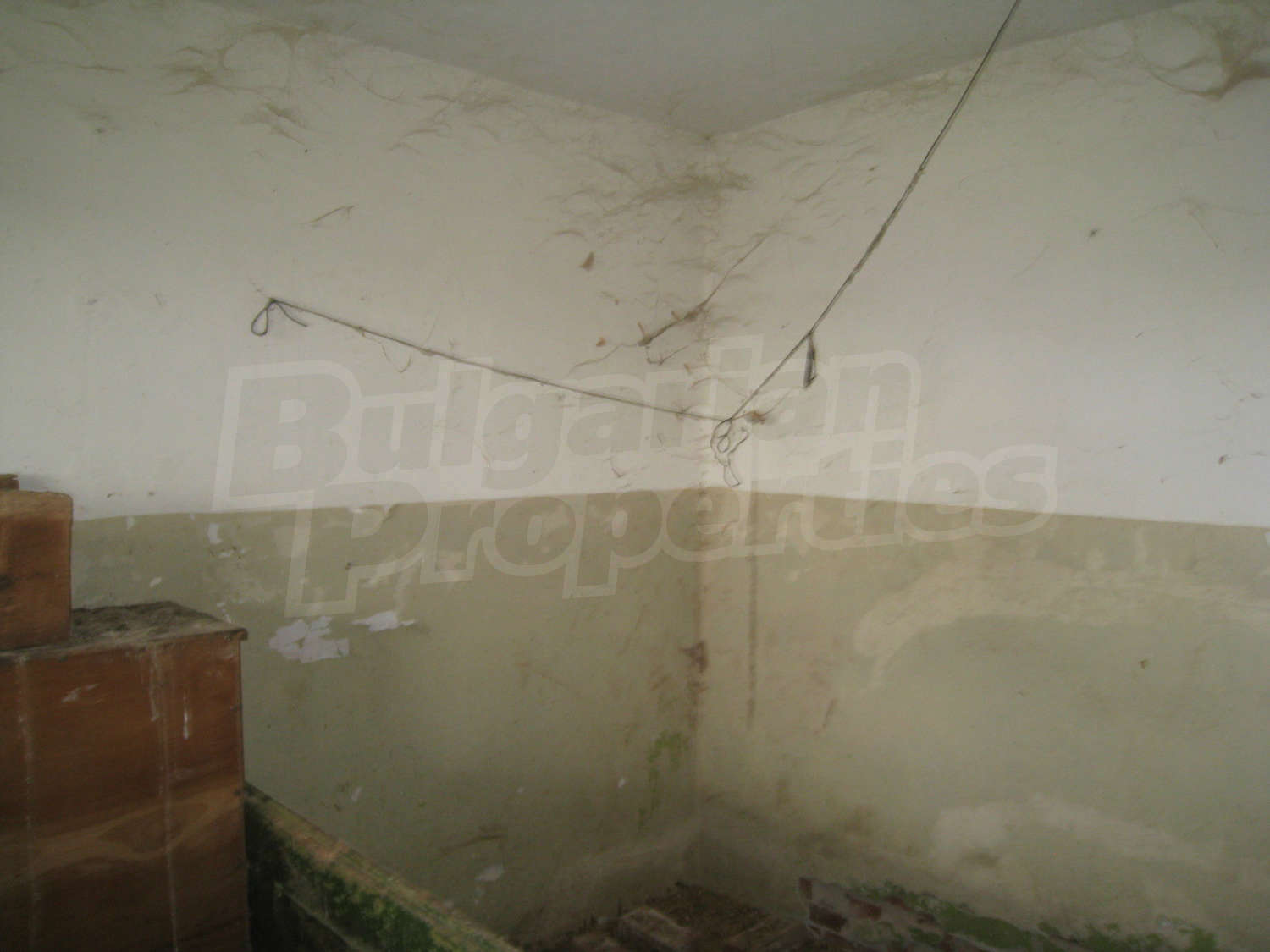 Gallery Picture 13