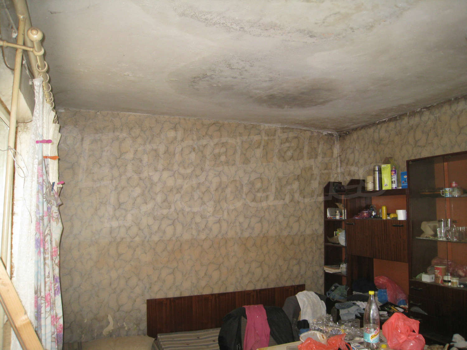 Gallery Picture 14