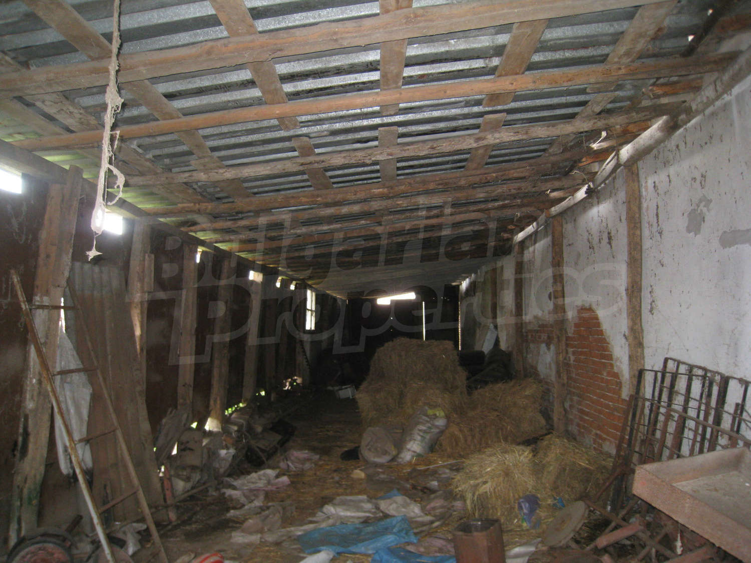 Gallery Picture 19