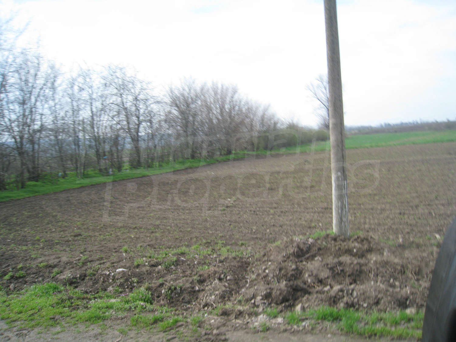 Gallery Picture 21