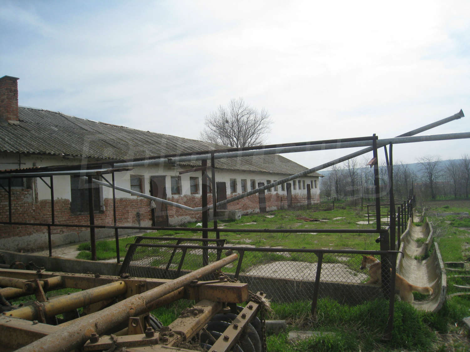 Gallery Picture 24