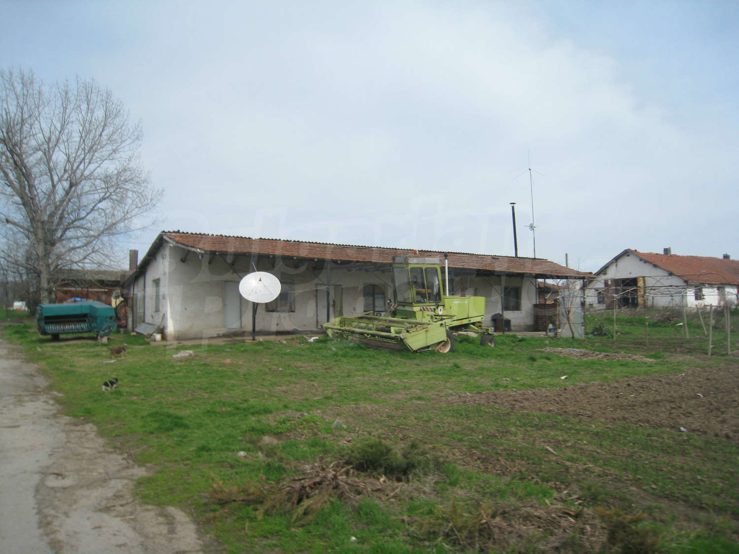 Gallery Picture 25