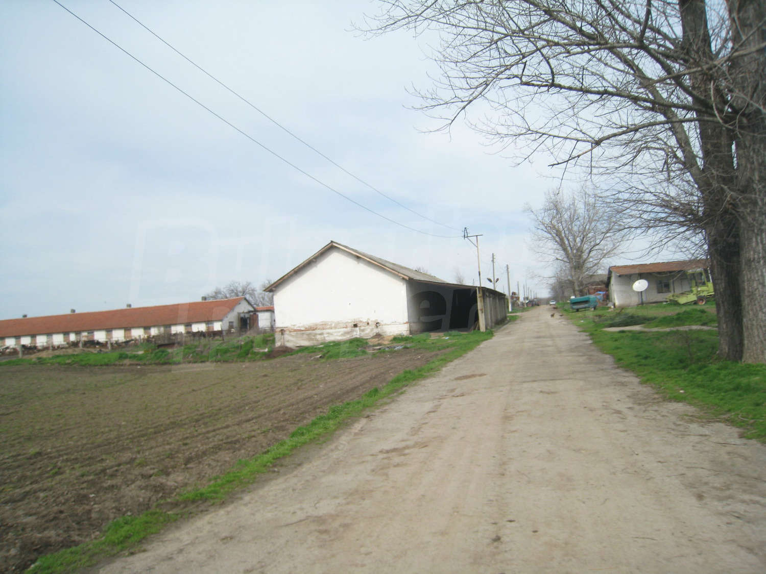 Gallery Picture 28