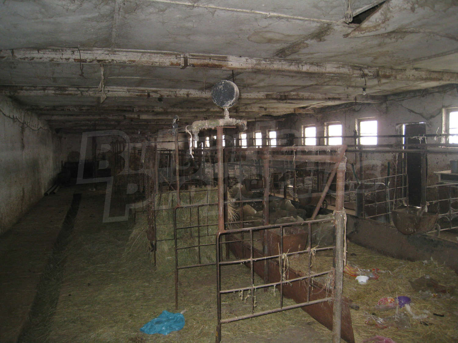 Gallery Picture 7
