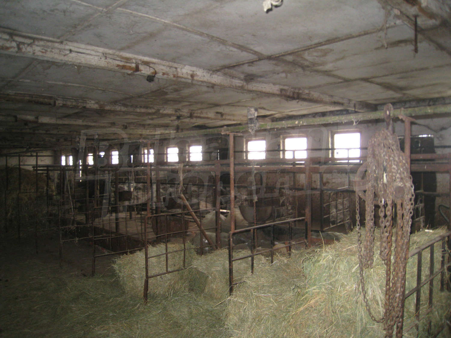 Gallery Picture 8