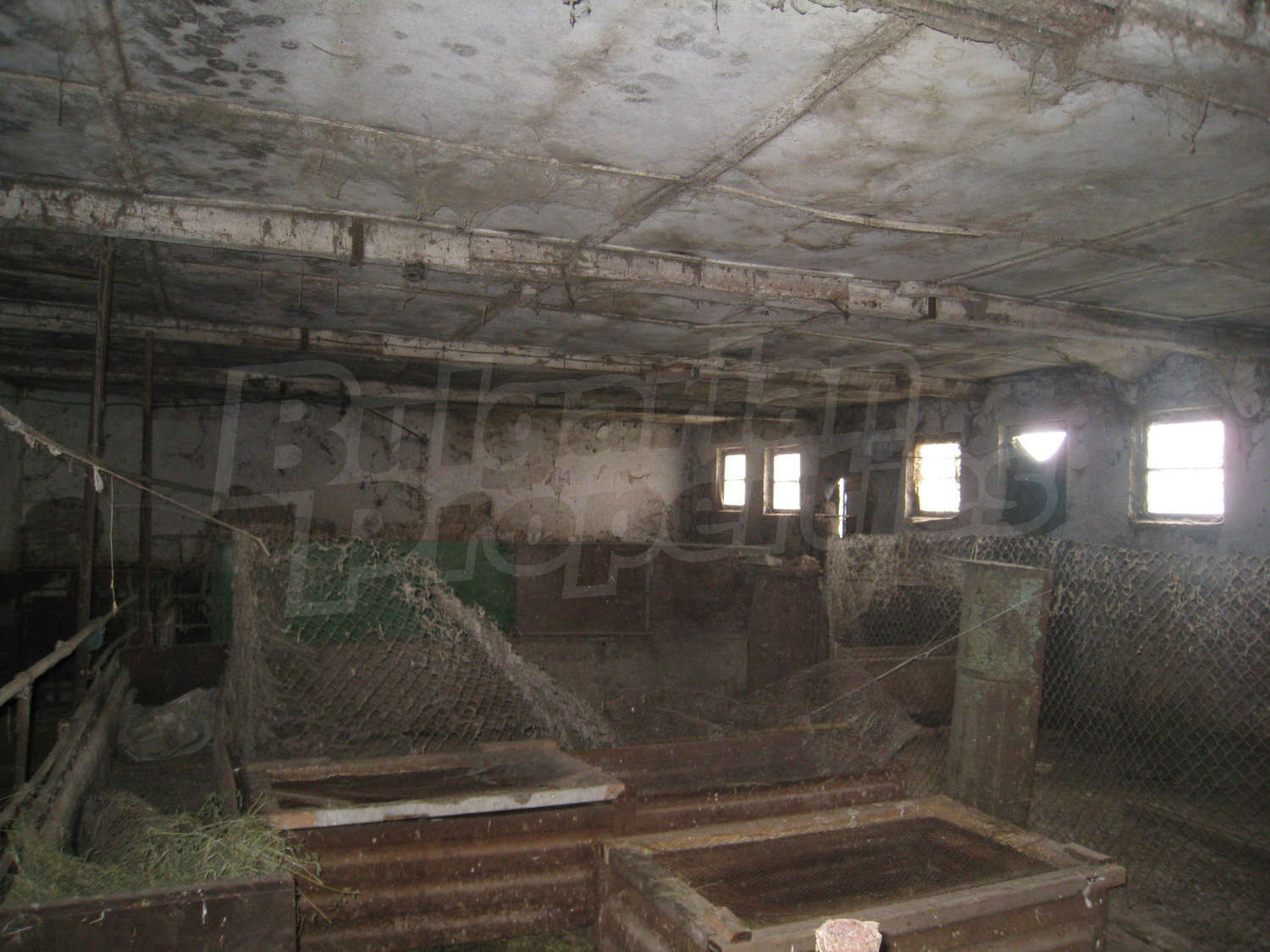 Gallery Picture 9