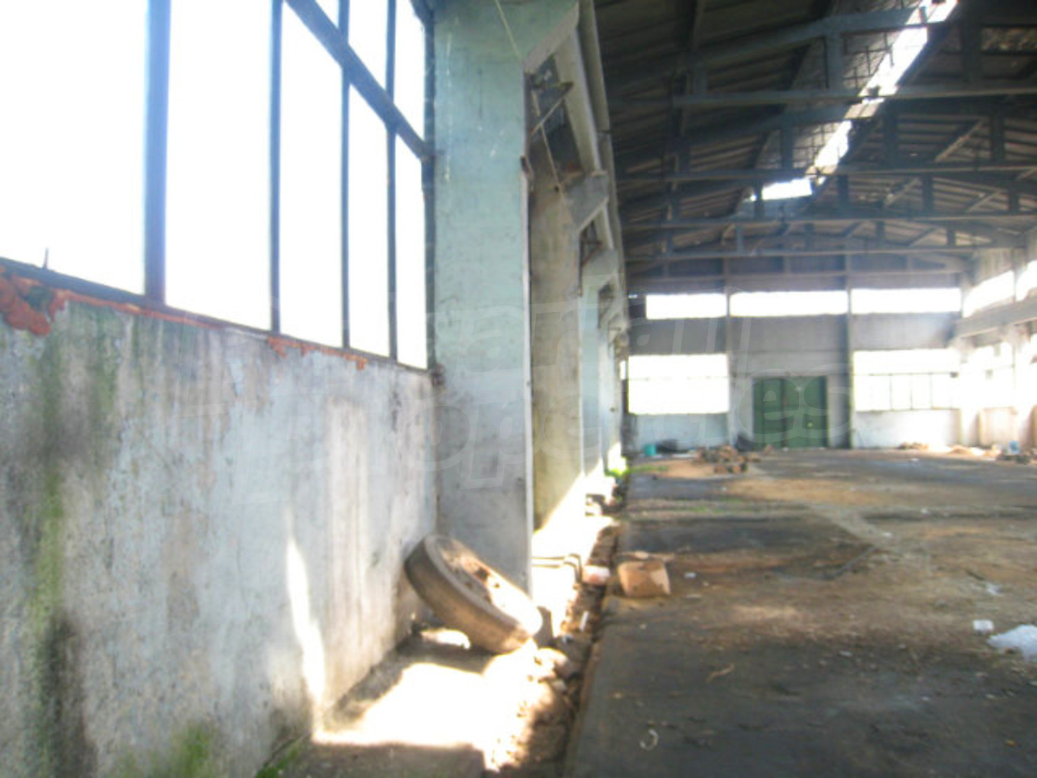 Gallery Picture 12