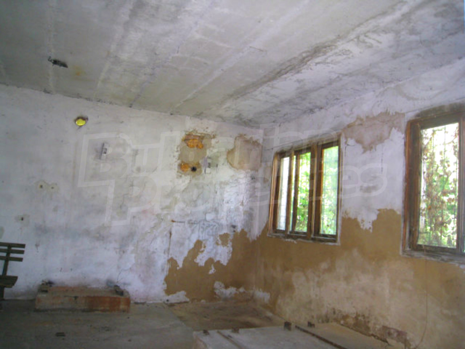 Gallery Picture 14
