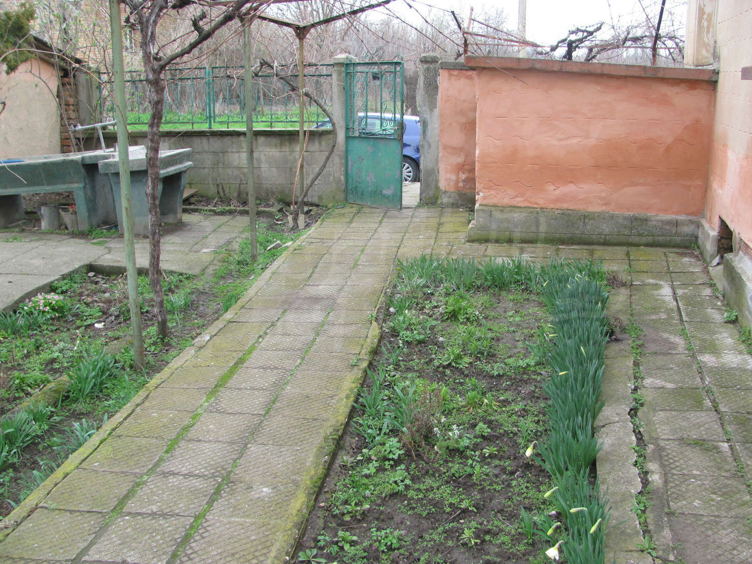 Gallery Picture 27