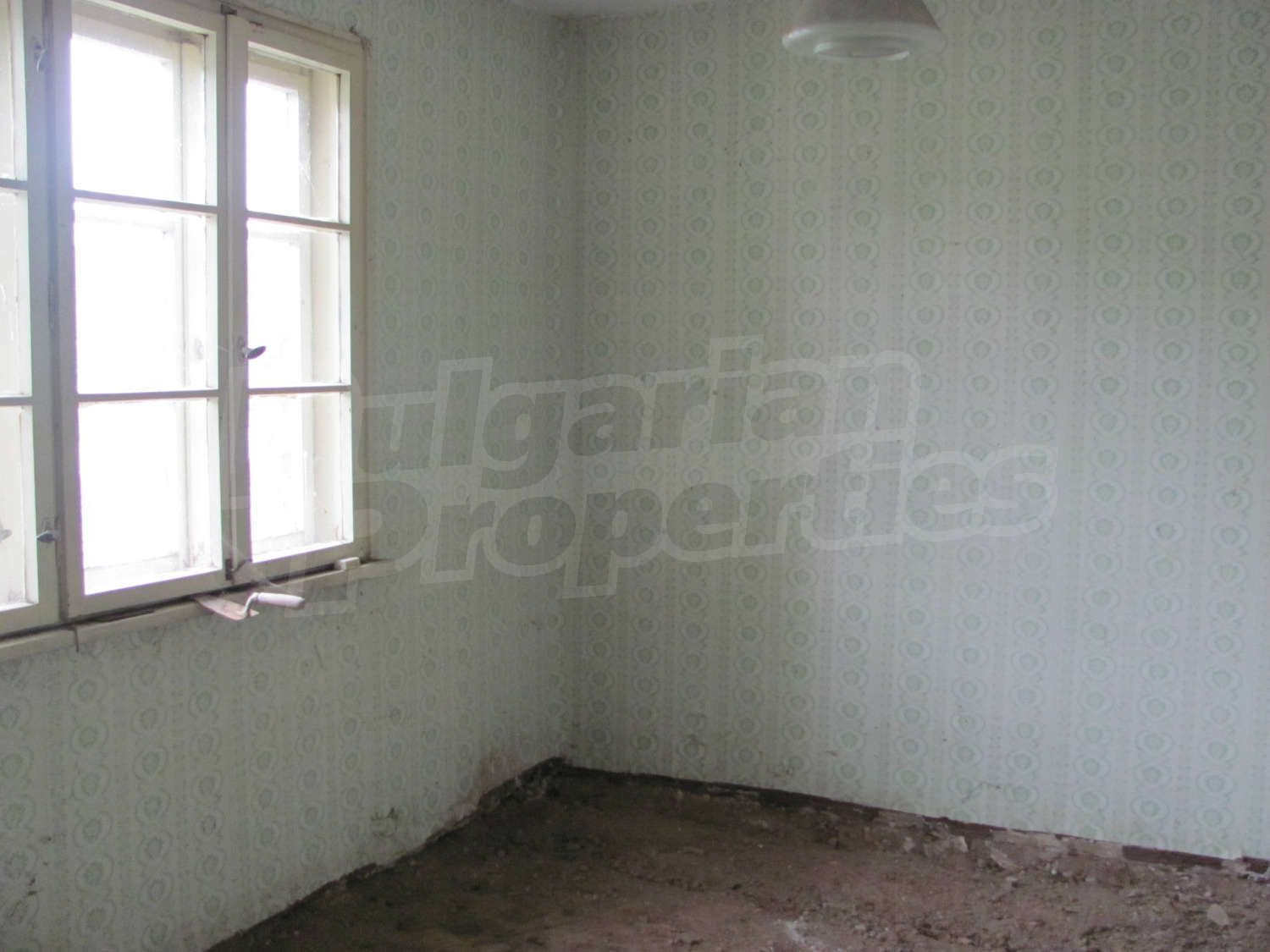 Gallery Picture 14