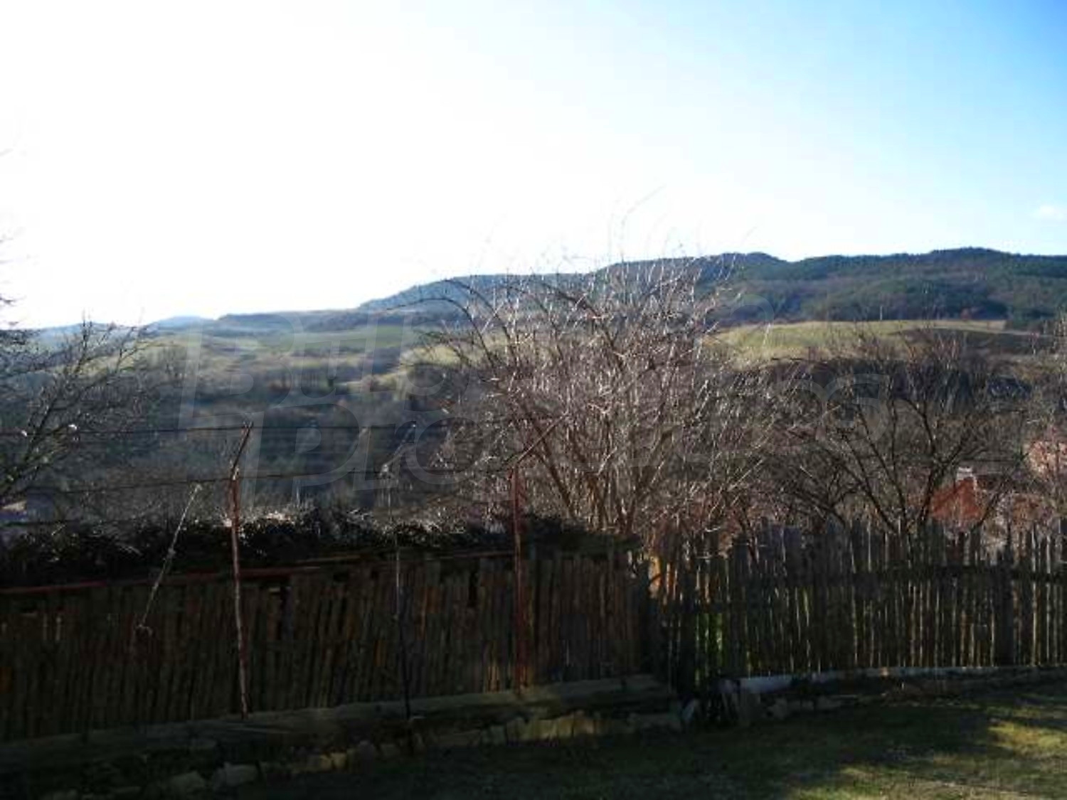 Gallery Picture 16