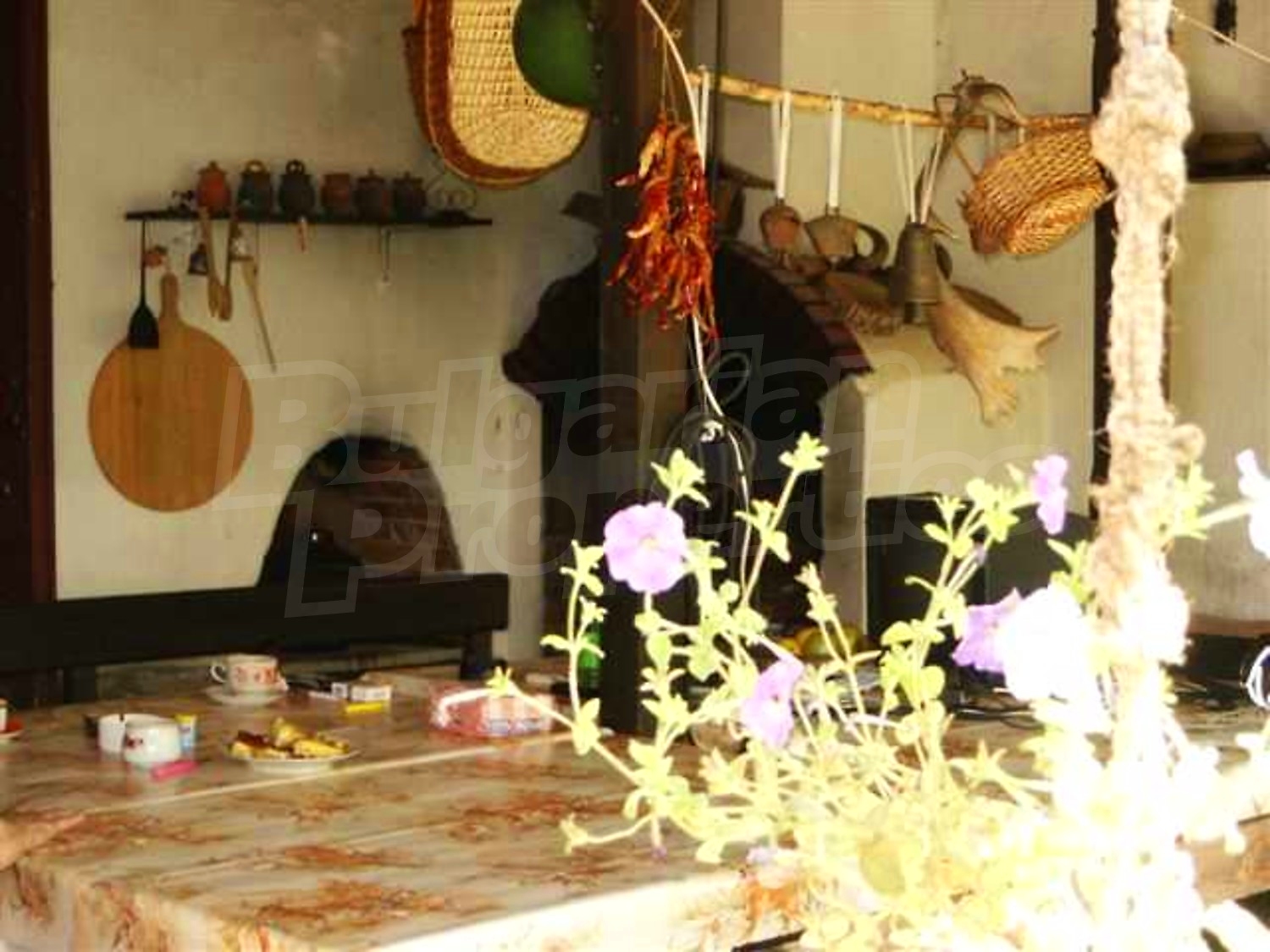 Gallery Picture 7