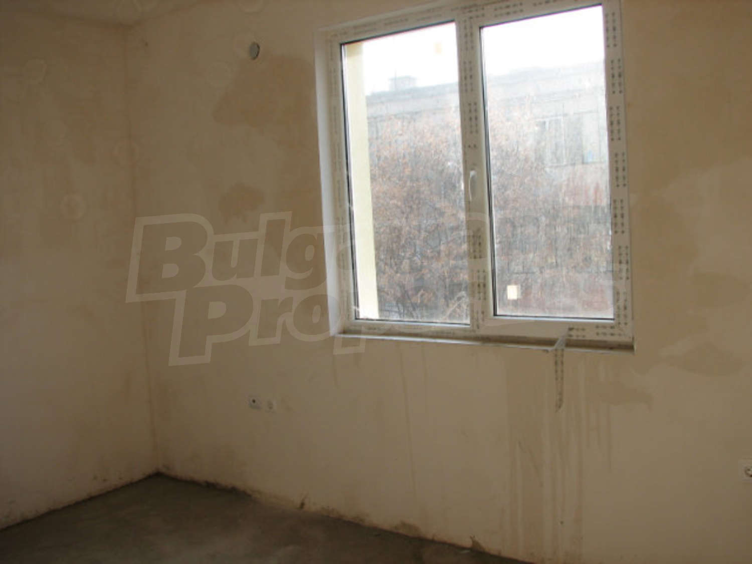 Gallery Picture 10