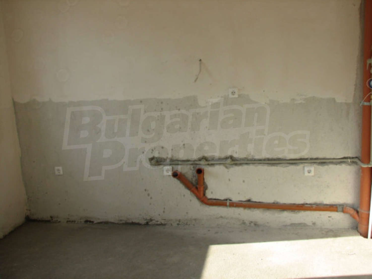Gallery Picture 19