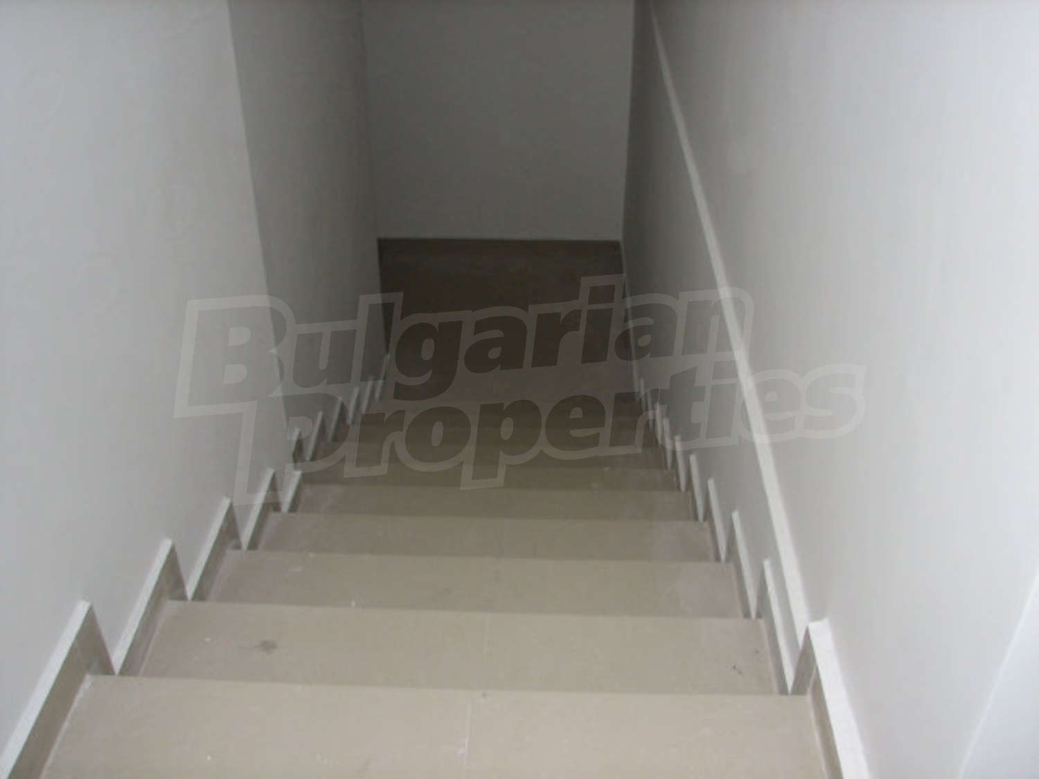 Gallery Picture 5