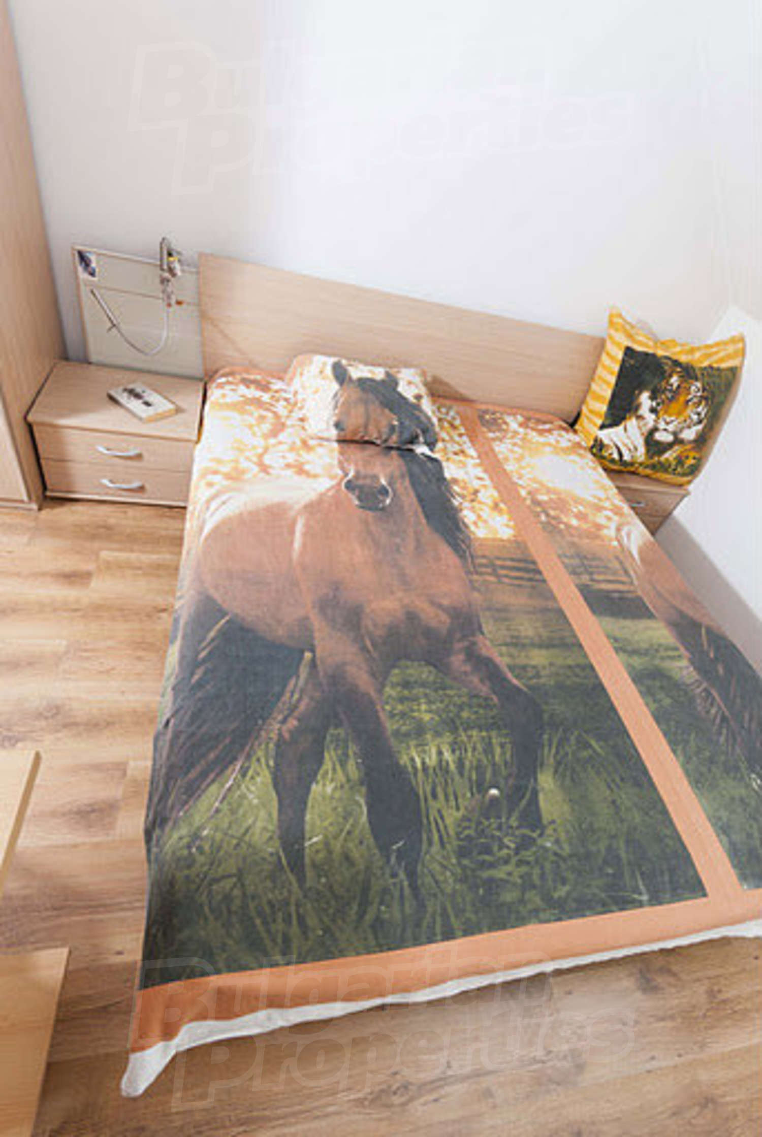 Gallery Picture 23