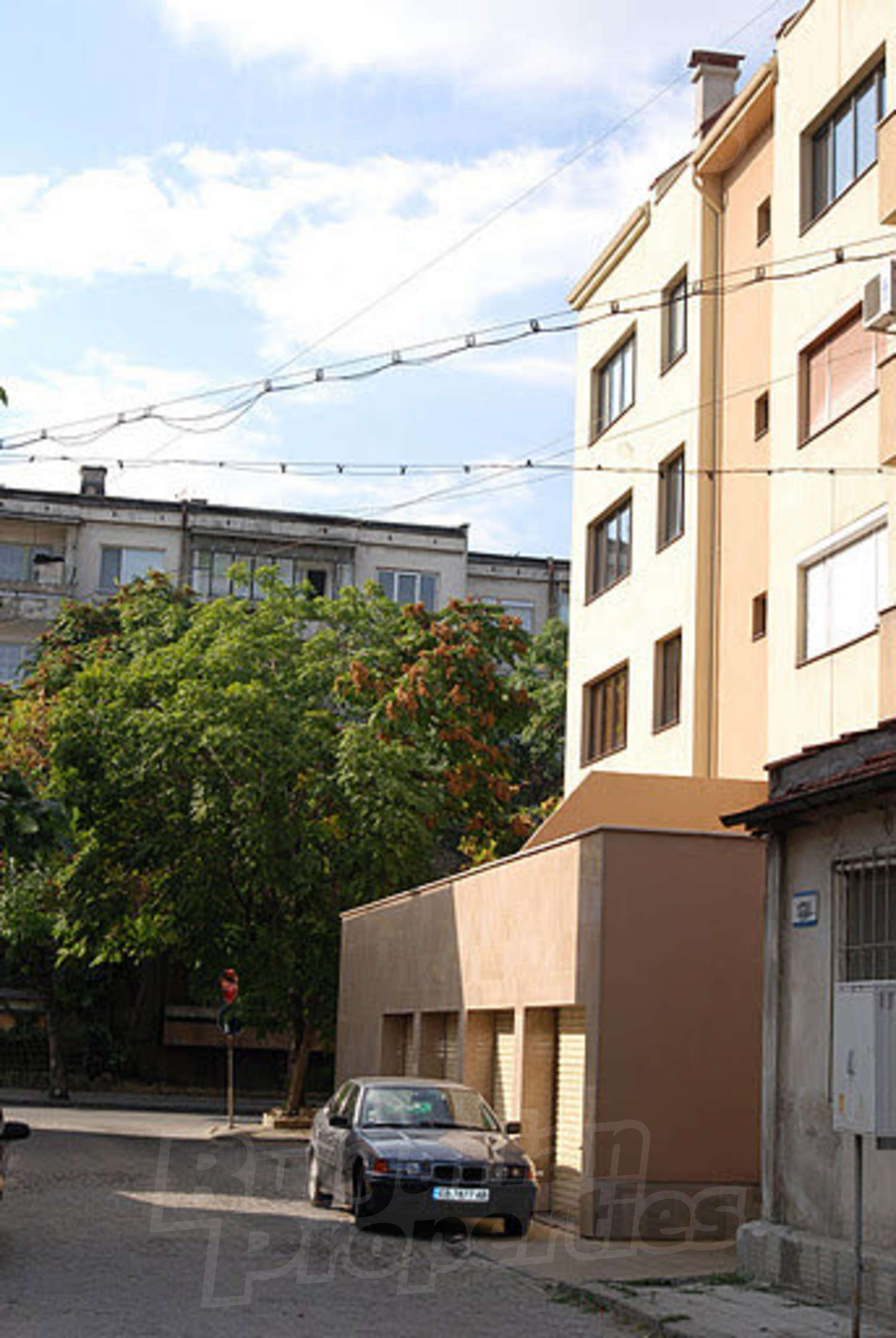 Gallery Picture 41