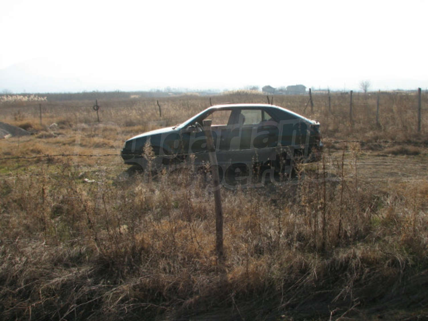 Gallery Picture 3