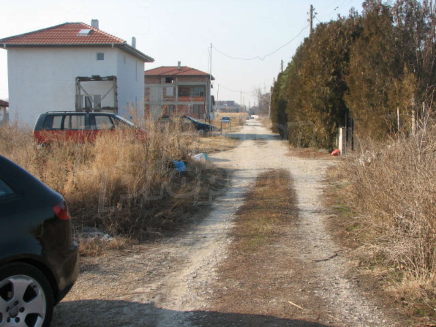 Gallery Picture 7