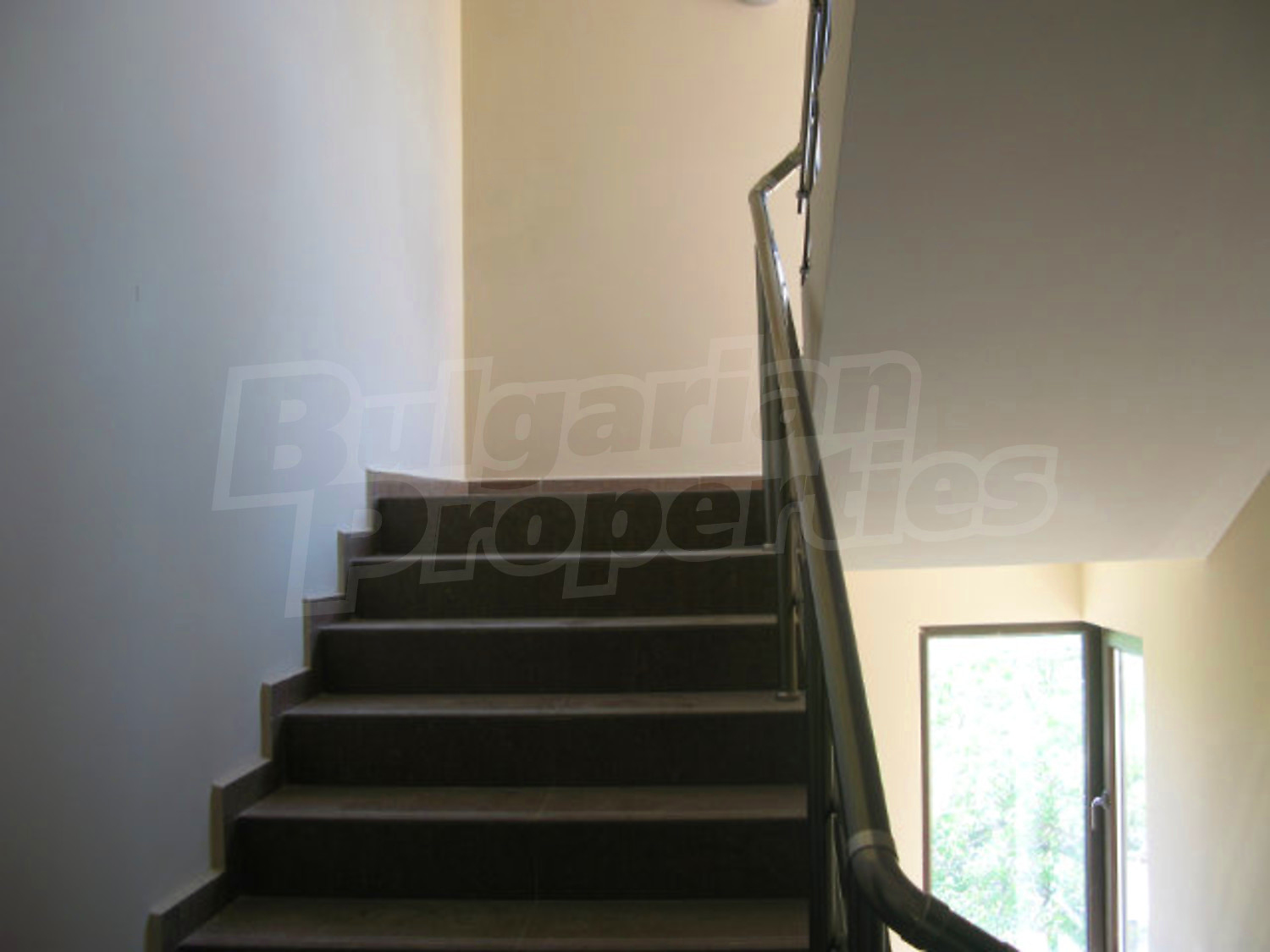 Gallery Picture 6