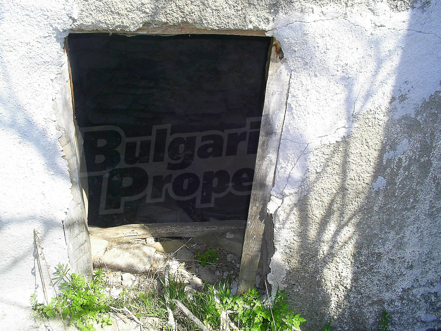 Gallery Picture 11