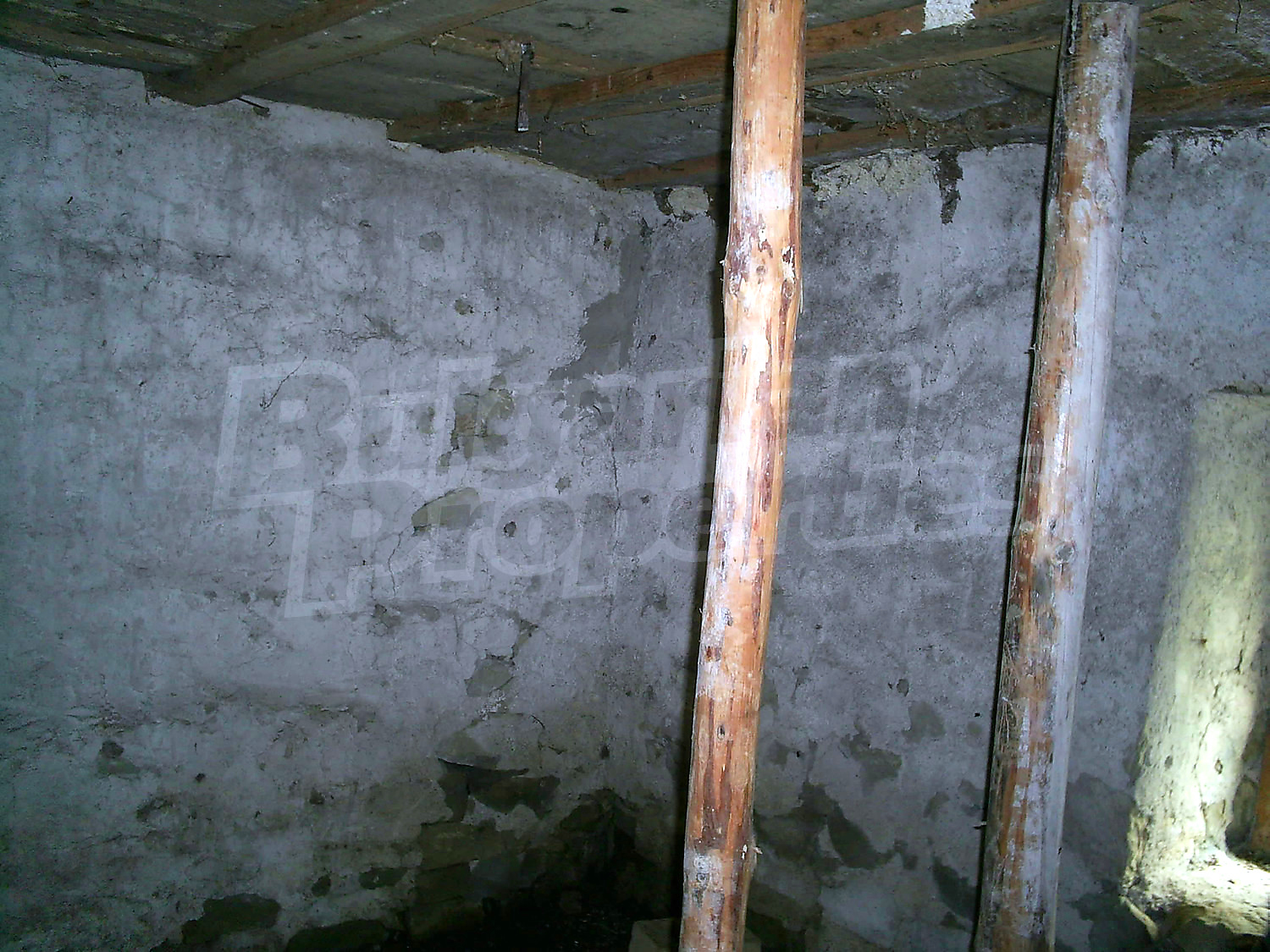 Gallery Picture 12