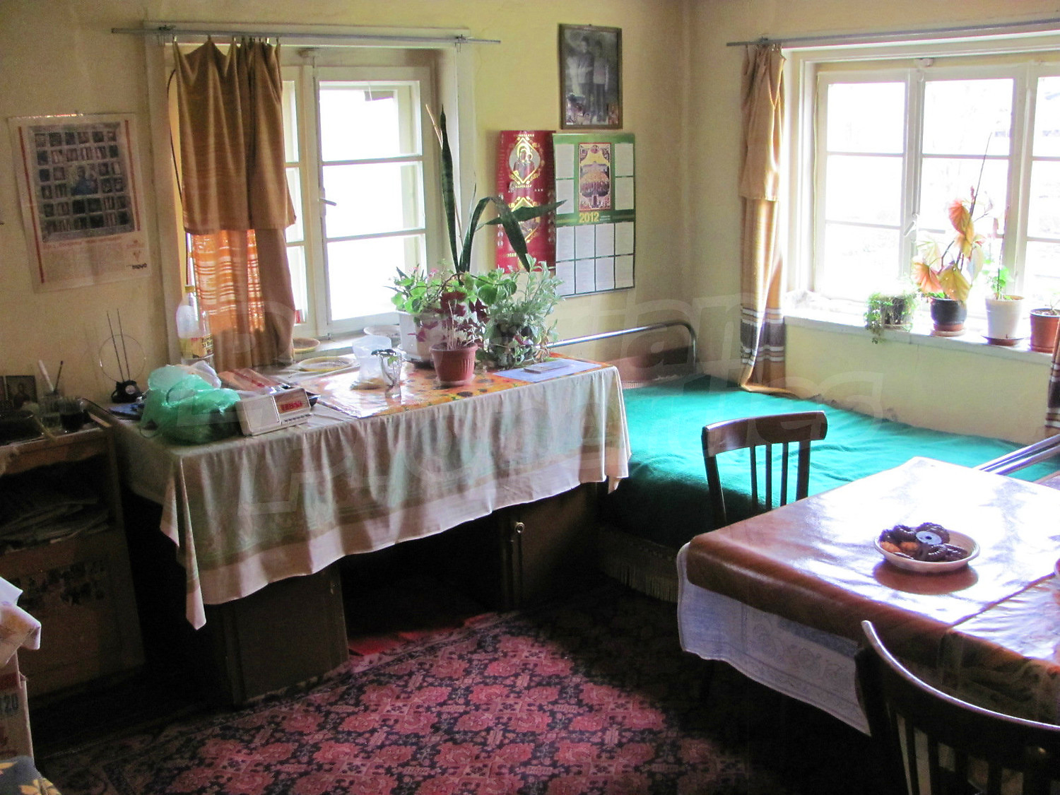 Gallery Picture 10