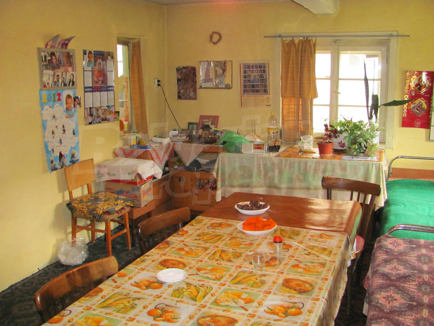Gallery Picture 12