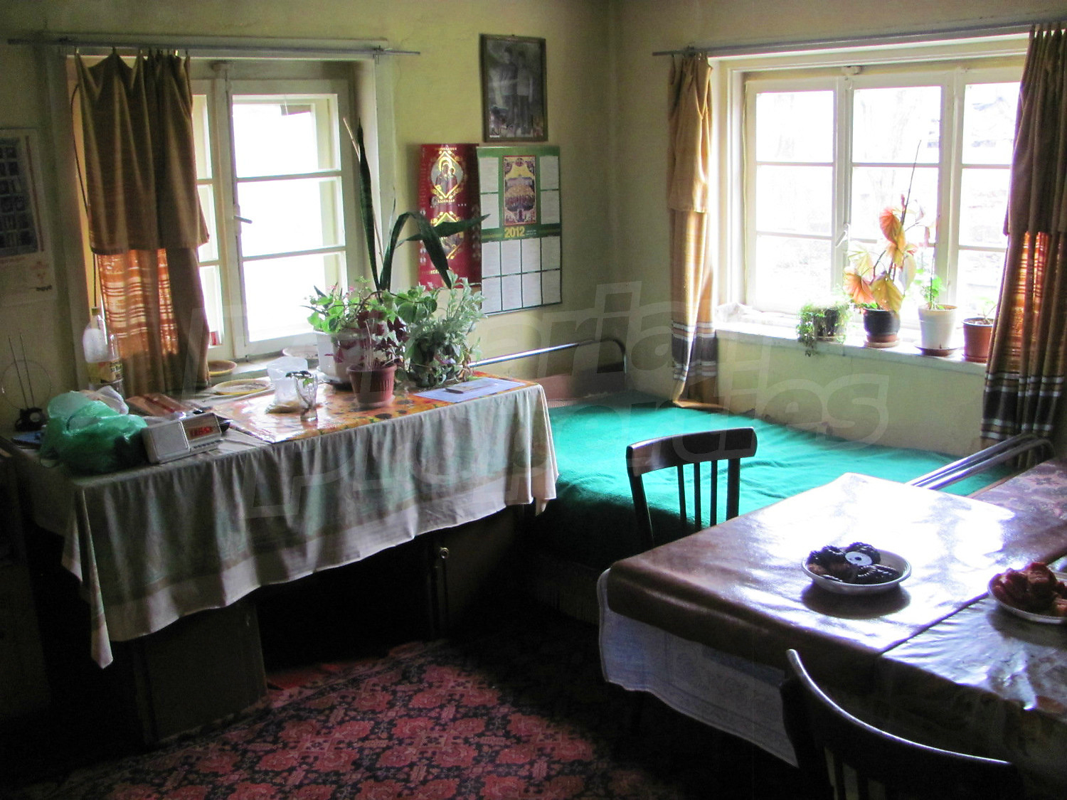 Gallery Picture 9