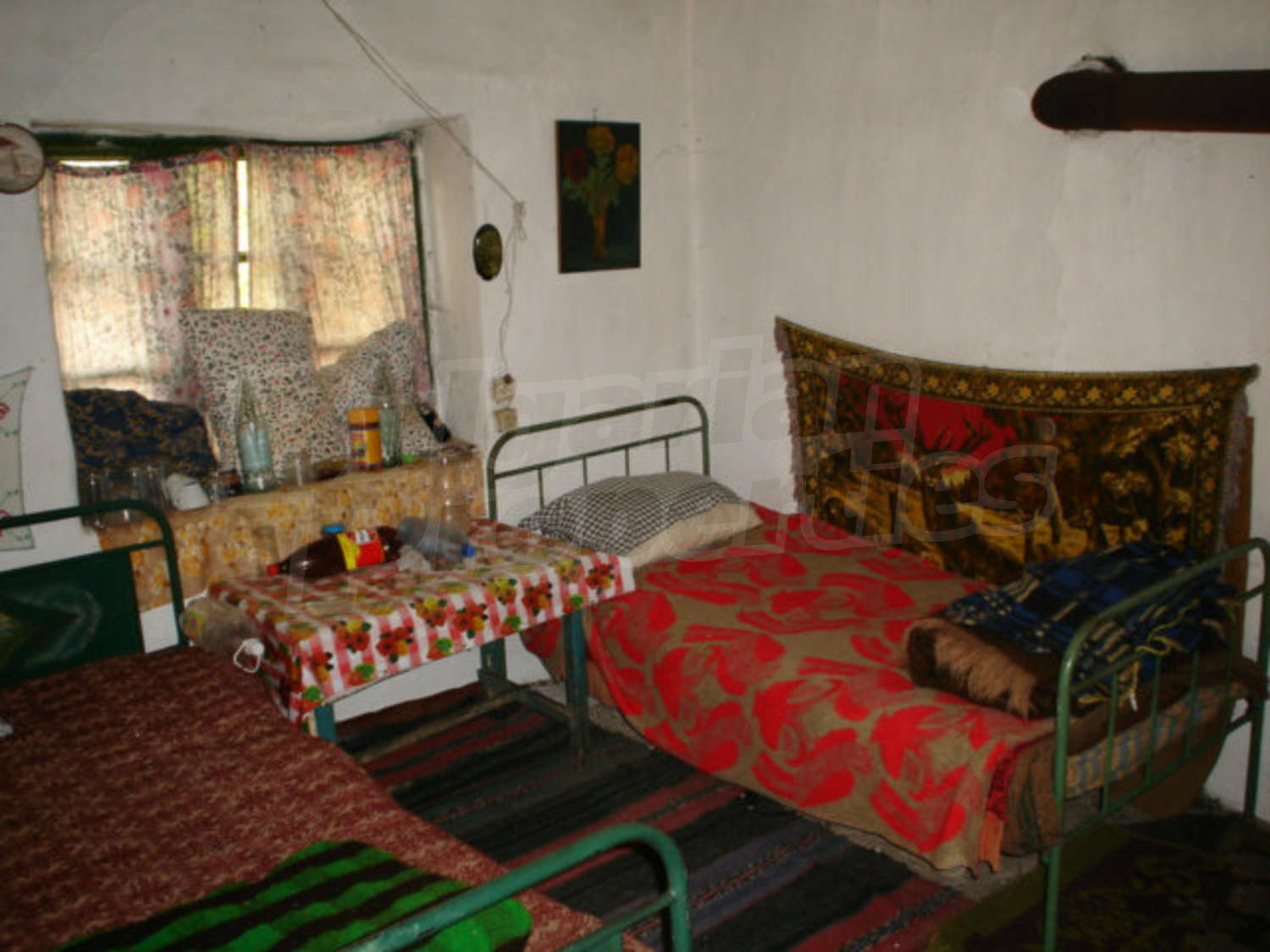 Gallery Picture 20