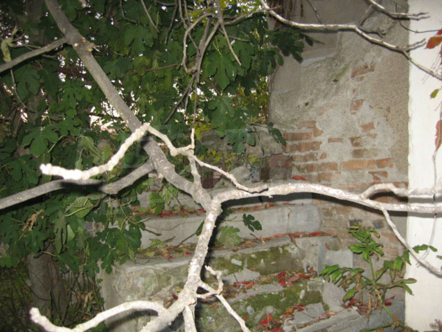 Gallery Picture 8