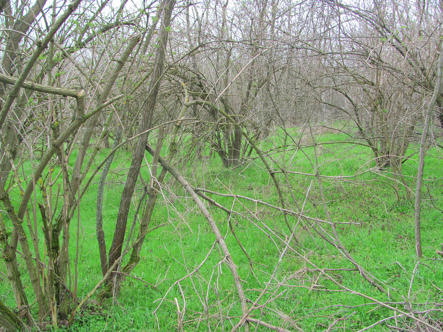 Gallery Picture 6