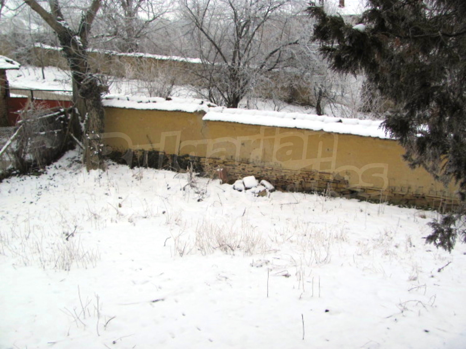 Gallery Picture 10