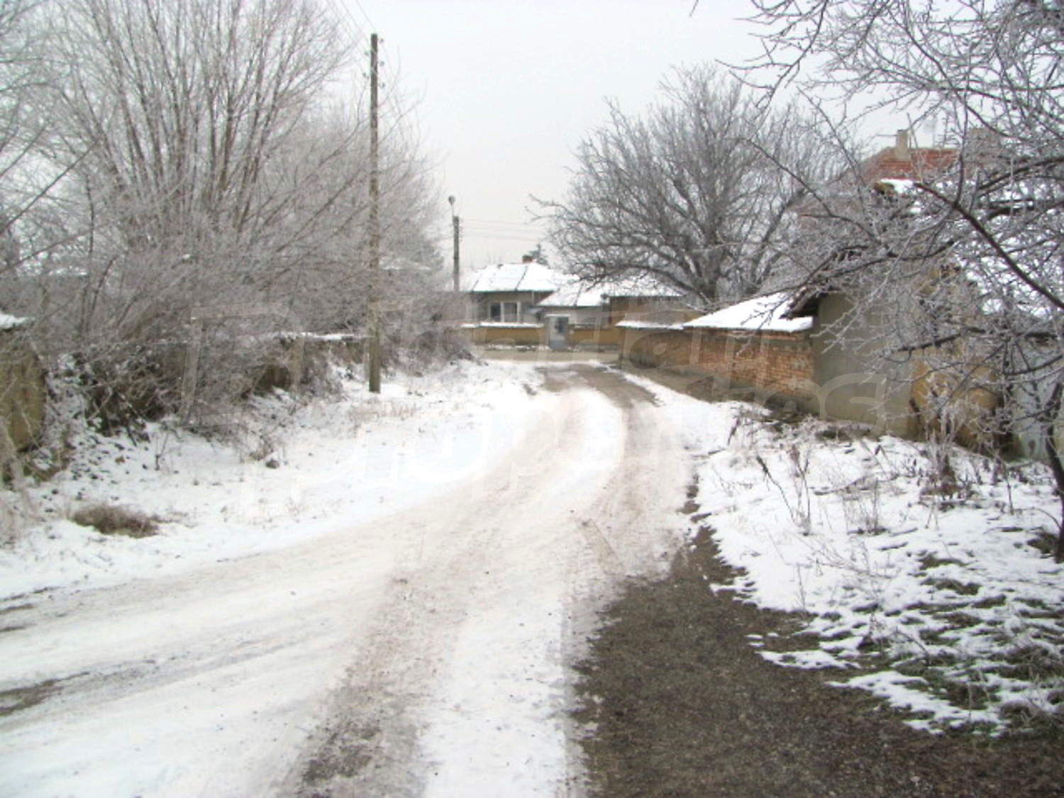 Gallery Picture 11