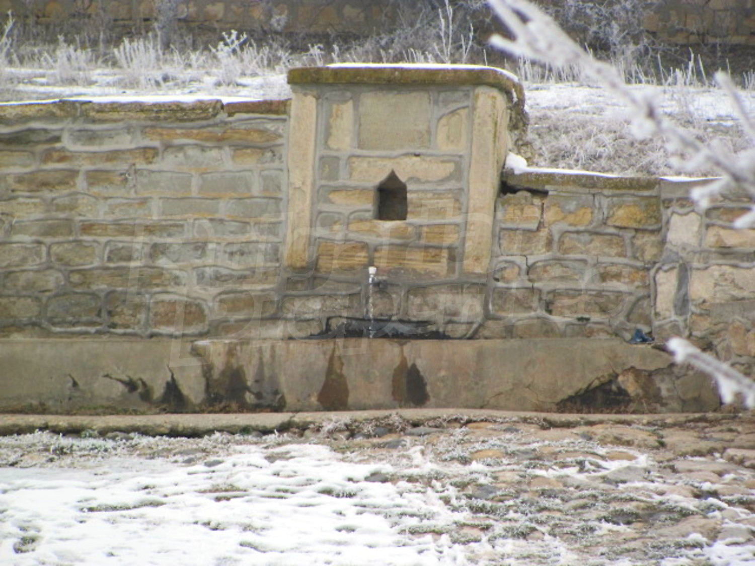 Gallery Picture 15