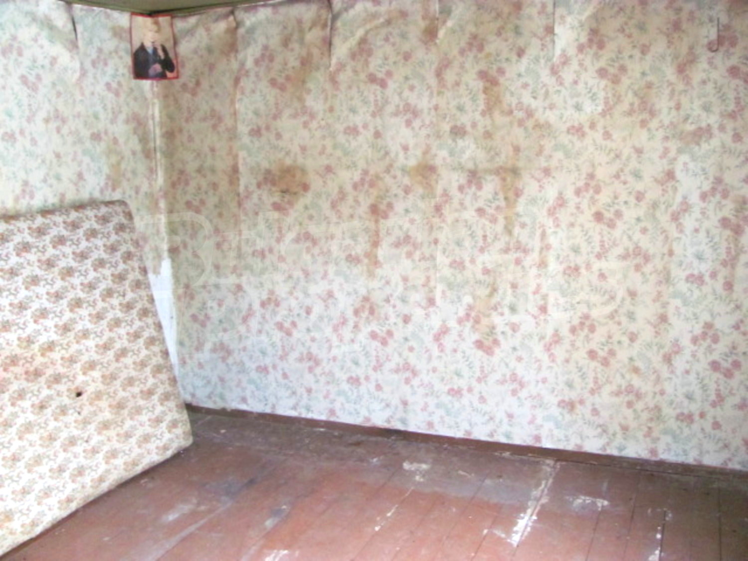 Gallery Picture 5