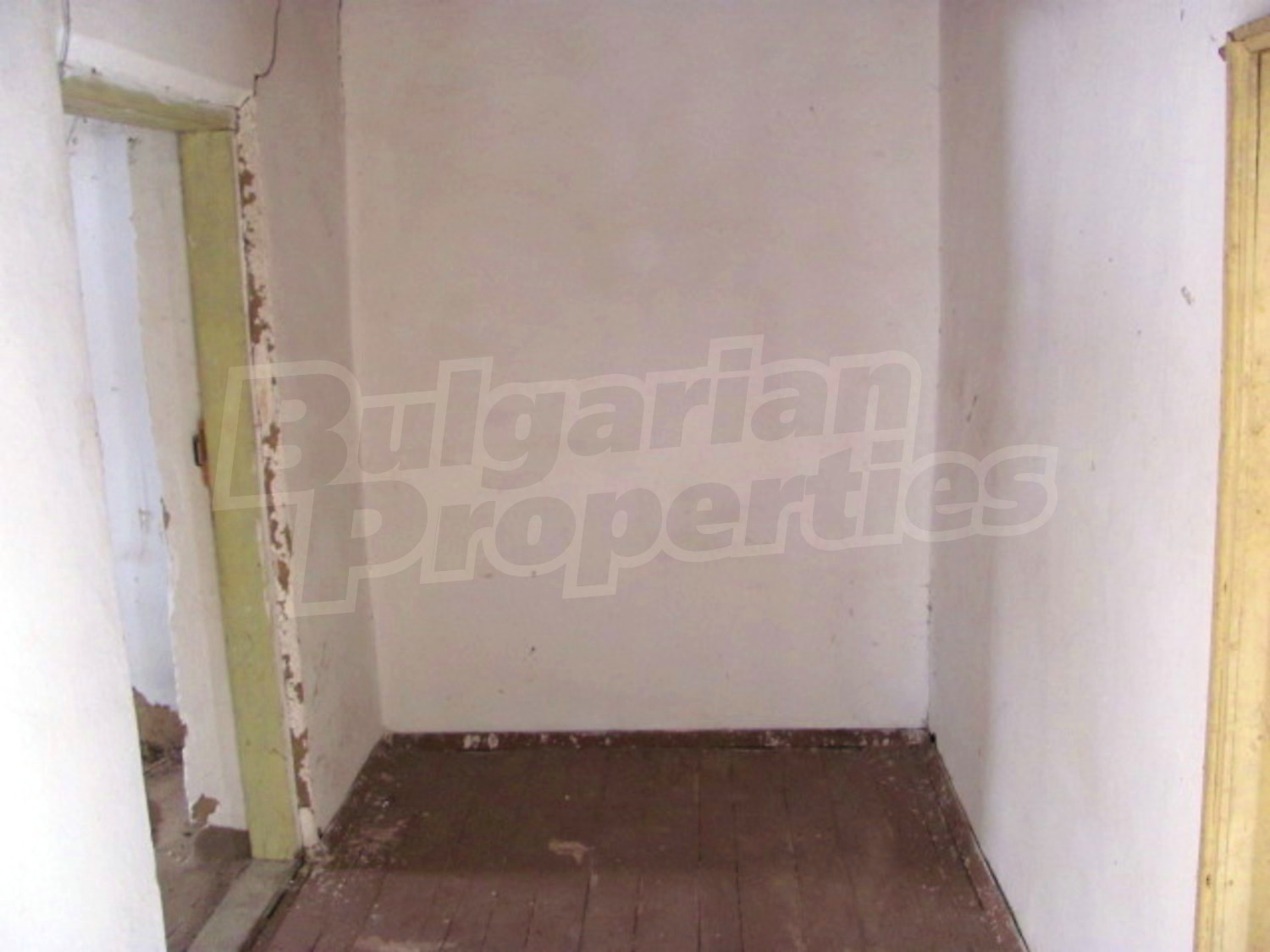 Gallery Picture 7