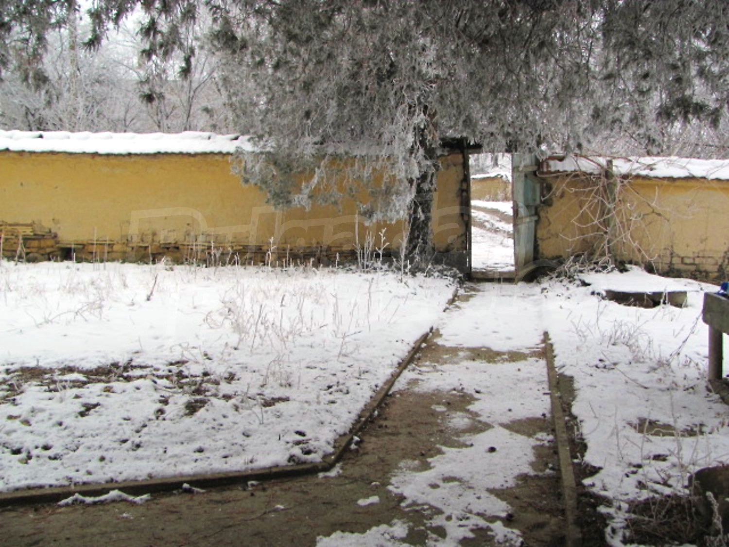 Gallery Picture 9