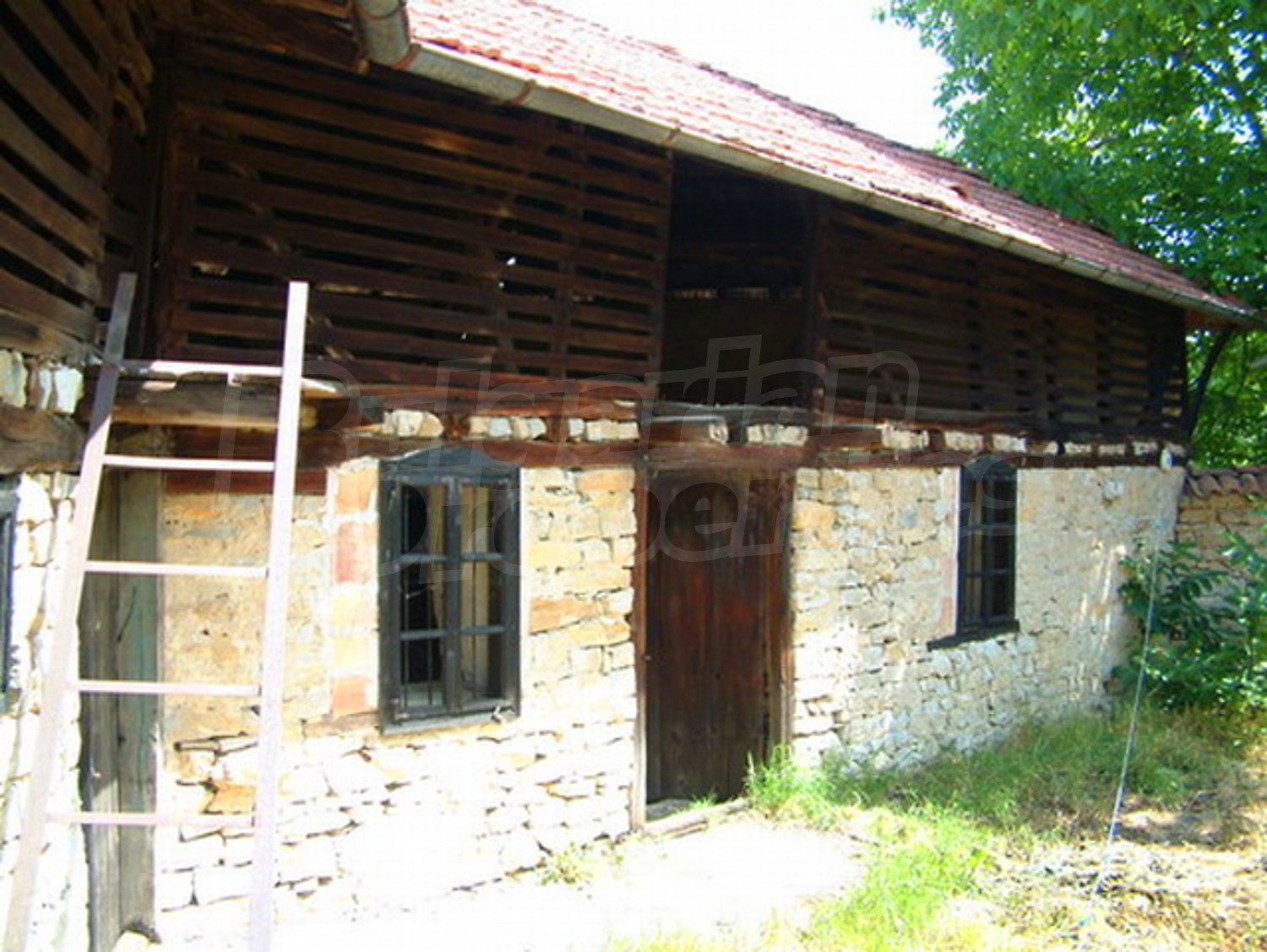 Gallery Picture 14