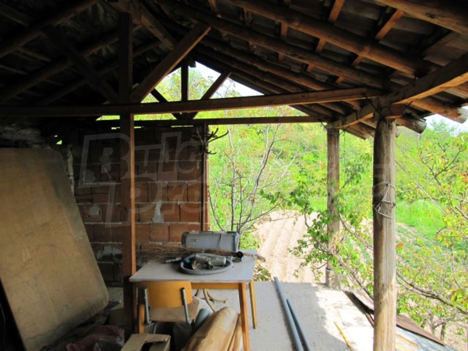 Gallery Picture 13