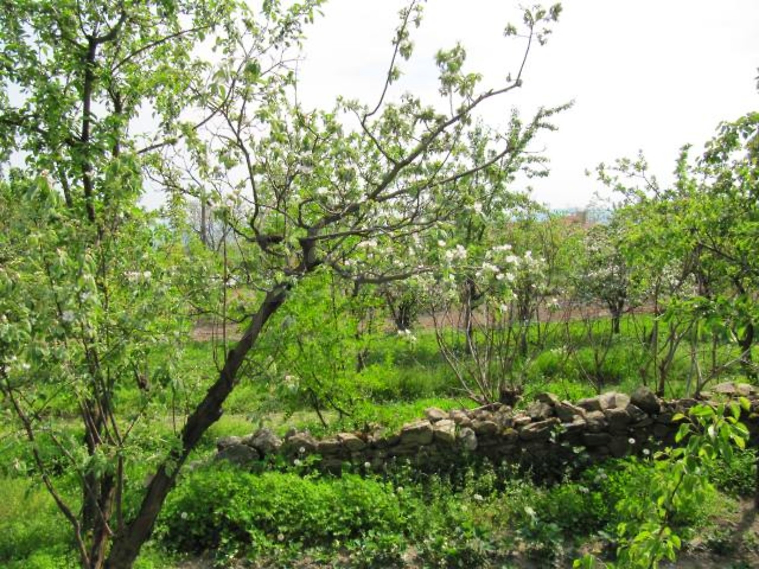 Gallery Picture 24
