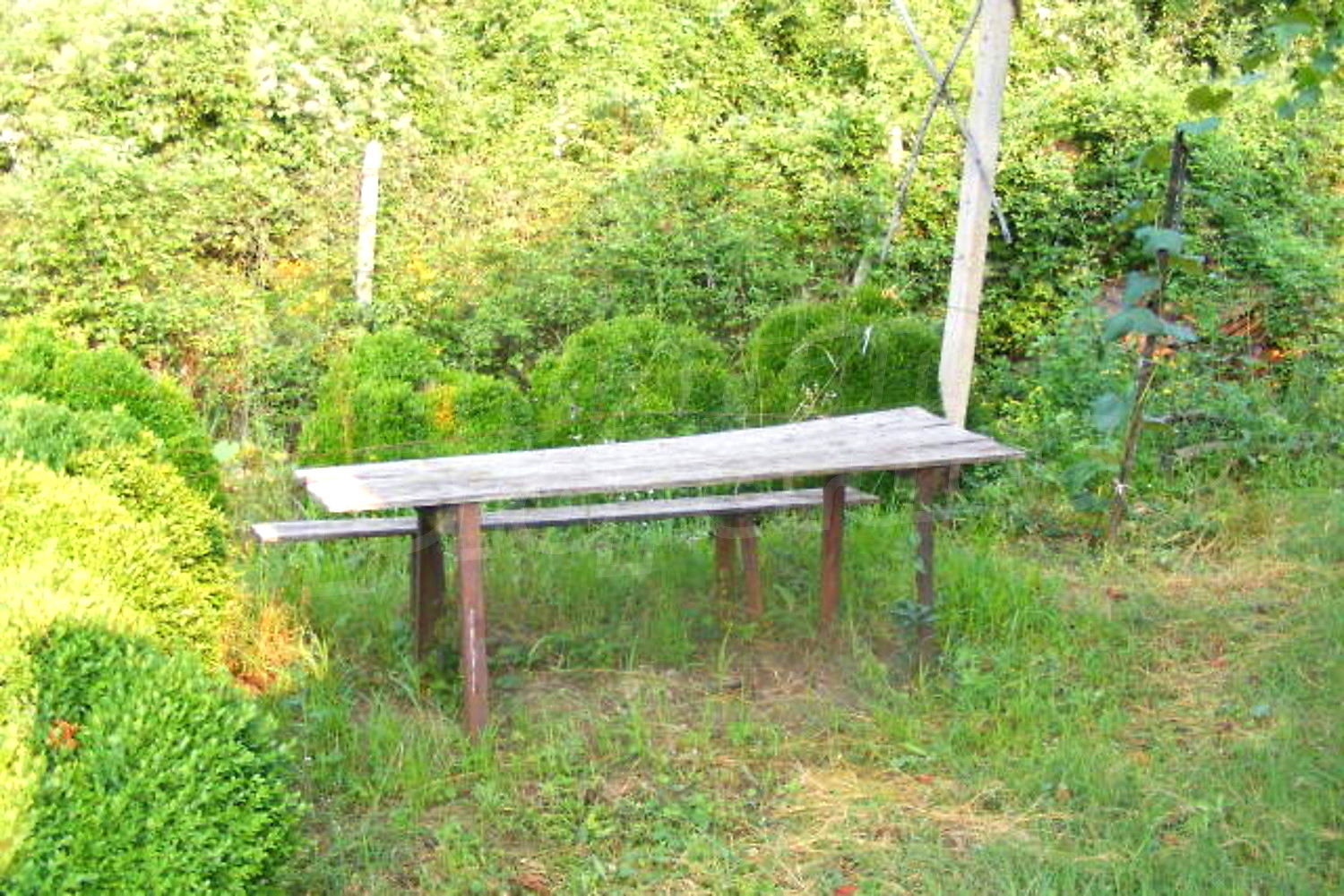 Gallery Picture 10