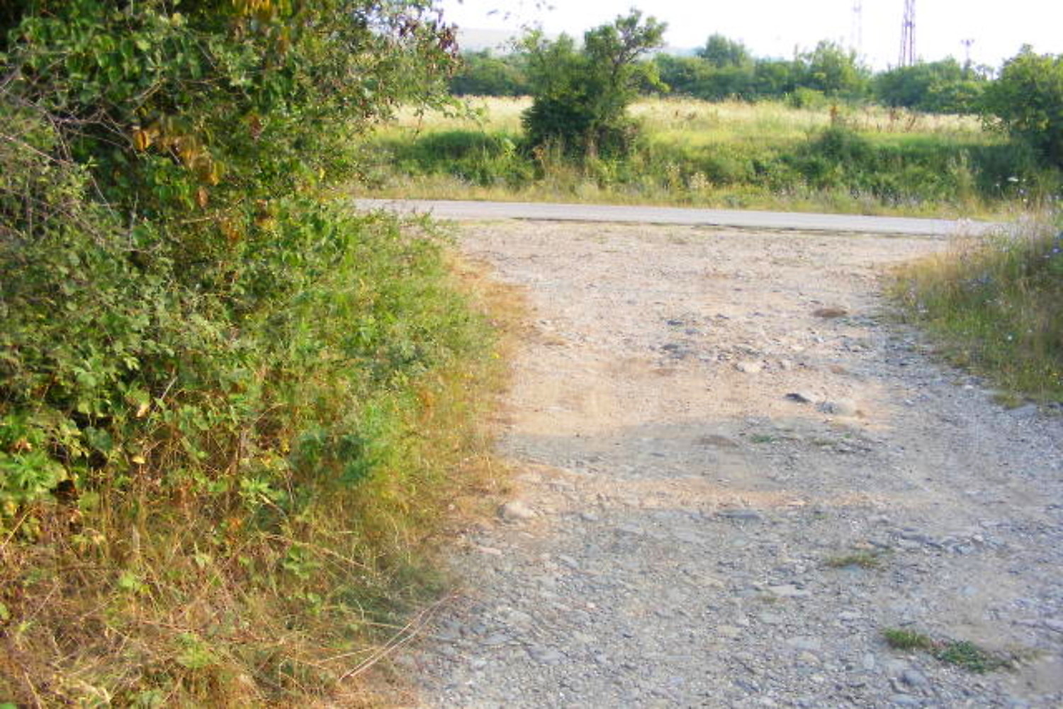 Gallery Picture 19
