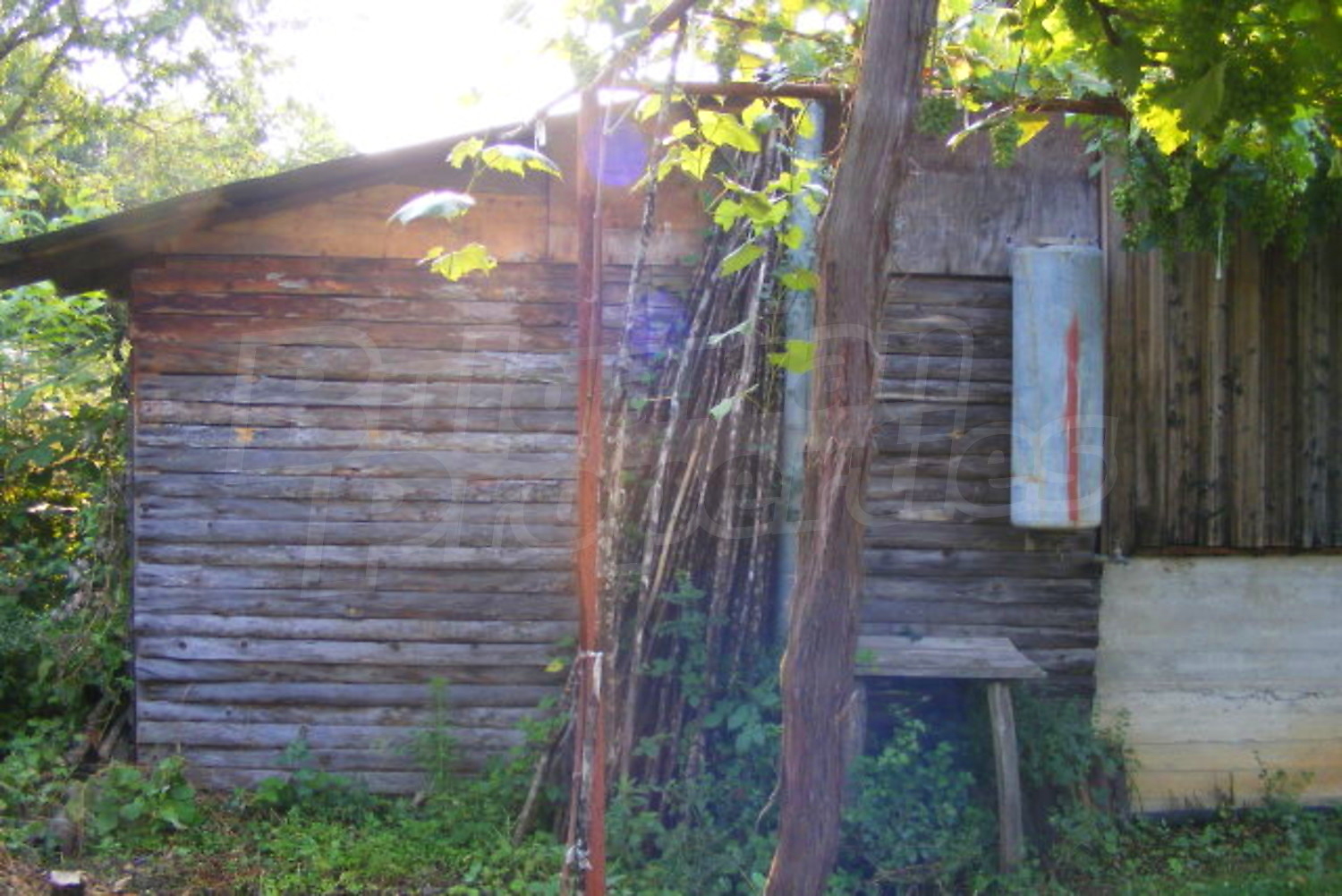 Gallery Picture 3