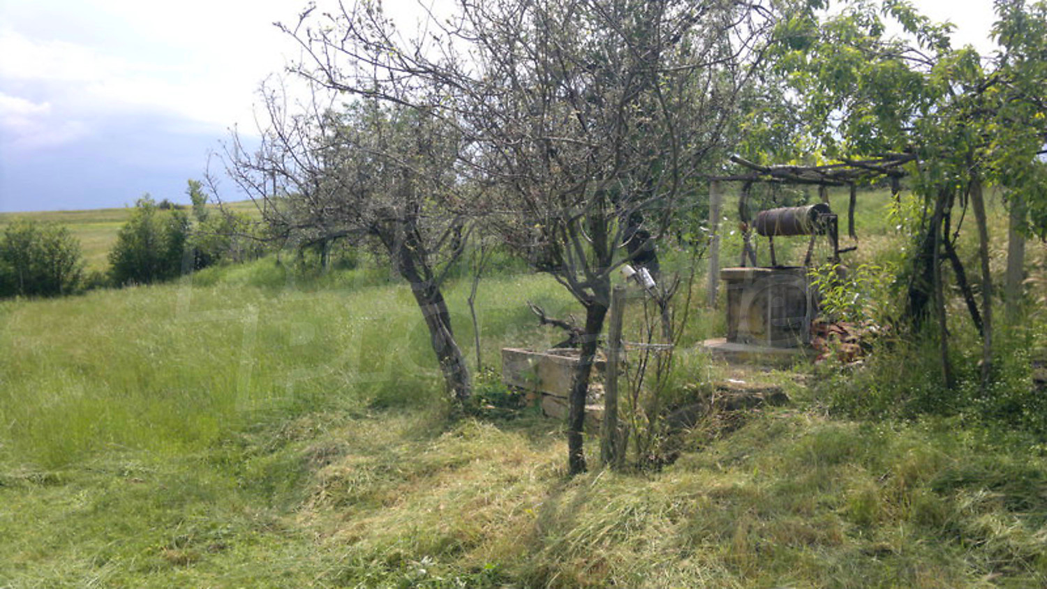 Gallery Picture 16